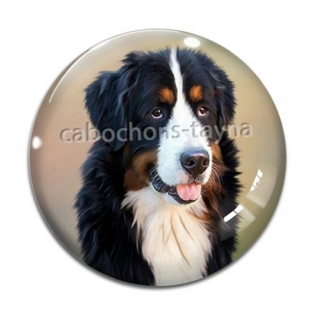 Cabochon Verre - chien 