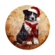 chien 