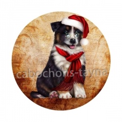 chien 