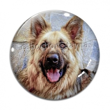 Cabochon Verre - chien 