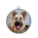 Pendentif Cabochon Argent - chien 
