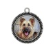 Pendentif Cabochon Argent - chien 