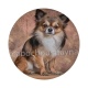 chien 