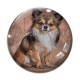 Cabochon Verre - chien 