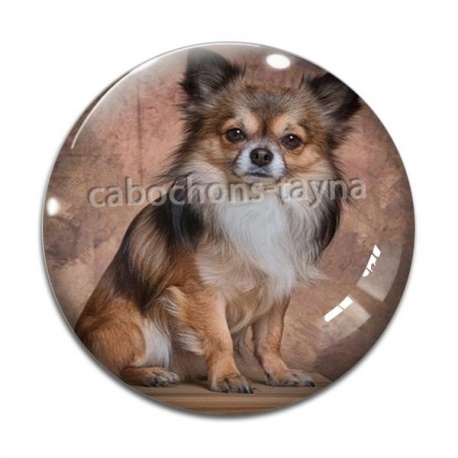 Cabochon Verre - chien 
