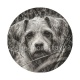 chien 