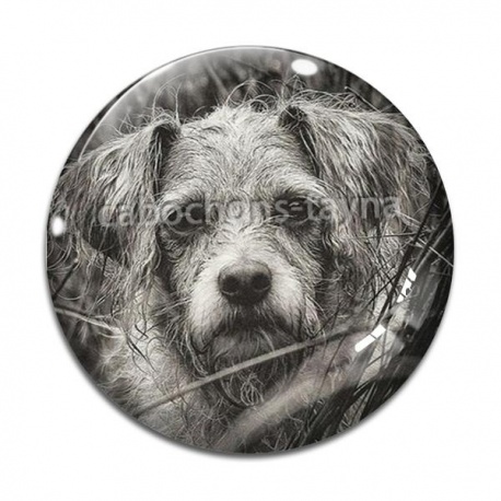 Cabochon Verre - chien 