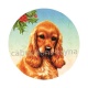 chien 