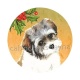 chien 