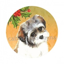 chien 