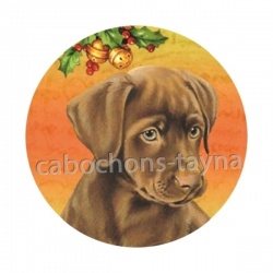 chien 