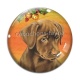 Cabochon Verre - chien 