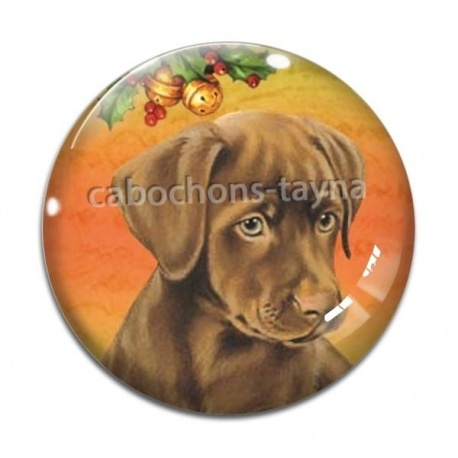Cabochon Verre - chien 