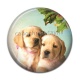 Cabochon Résine - chien 