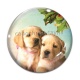 Cabochon Verre - chien 
