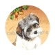 chien 