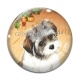 Cabochon Verre - chien 