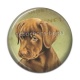 Cabochon Résine - chien 