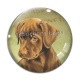 Cabochon Verre - chien 