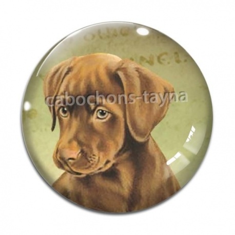 Cabochon Verre - chien 