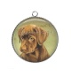Pendentif Cabochon Argent - chien 