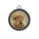 Pendentif Cabochon Argent - chien 