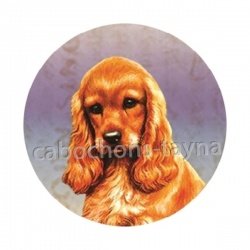 chien 