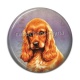 Cabochon Résine - chien 