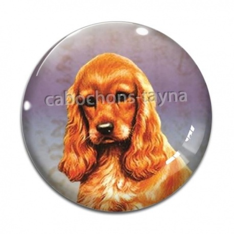Cabochon Verre - chien 