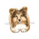 chien 