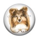 Cabochon Résine - chien 