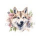 loup