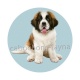 chien 