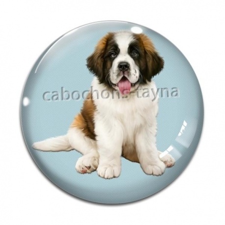 Cabochon Verre - chien 