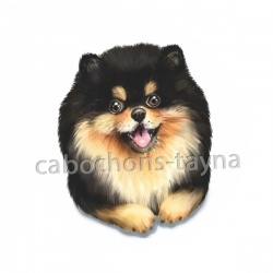 chien 