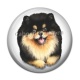 Cabochon Résine - chien 
