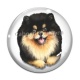 Cabochon Verre - chien 