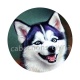 chienchien 