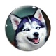 Cabochon Verre - chienchien 