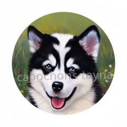 chien 