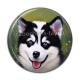Cabochon Résine - chien 