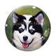 Cabochon Verre - chien 