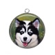 Pendentif Cabochon Argent - chien 