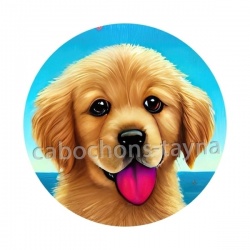 chien 