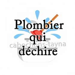 plombier qui déchire