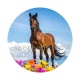 cheval