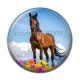 Cabochon Résine - cheval