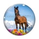 Cabochon Verre - cheval