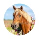 cheval