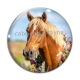 Cabochon Verre - cheval